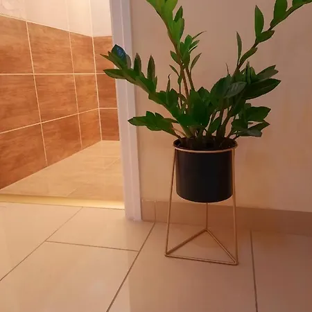 Emese Apartman Lägenhet Szeged